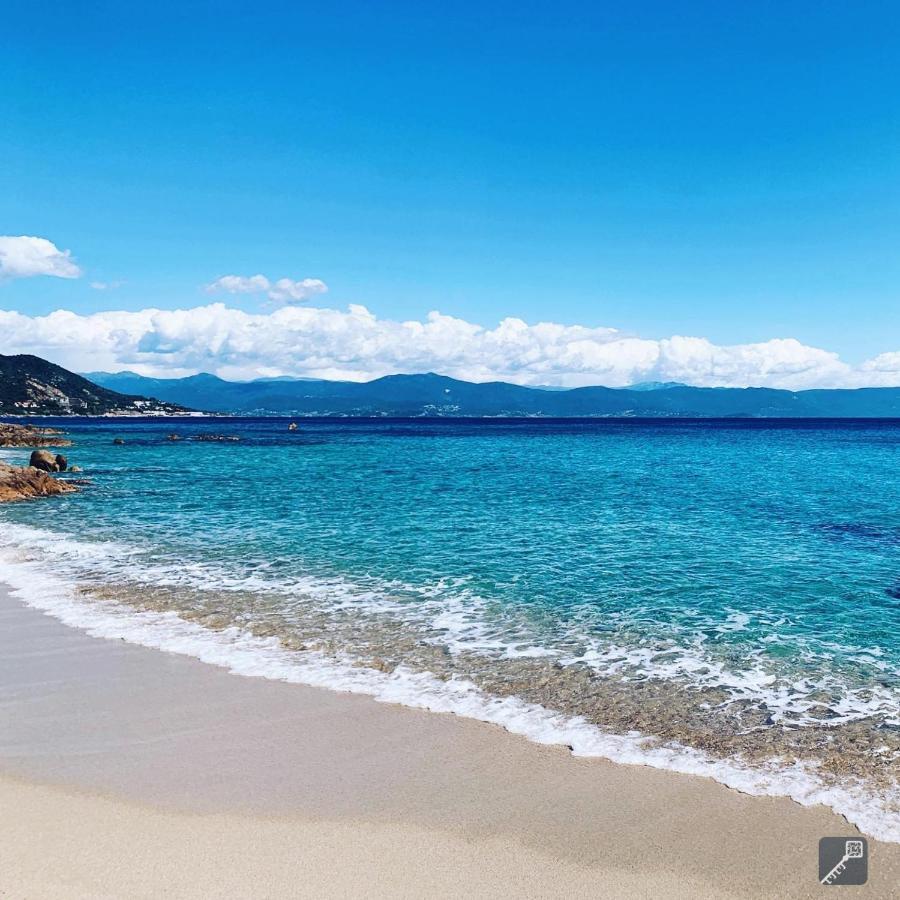 Evasion Corse - T2 Vue Mer, Piscine & Plage Ajaccio  Eksteriør billede