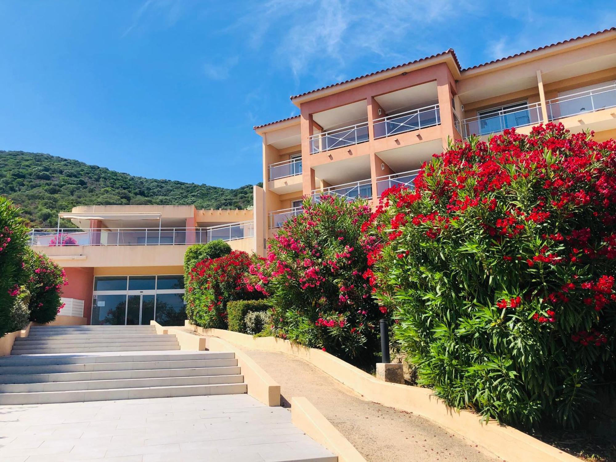 Evasion Corse - T2 Vue Mer, Piscine & Plage Ajaccio  Eksteriør billede